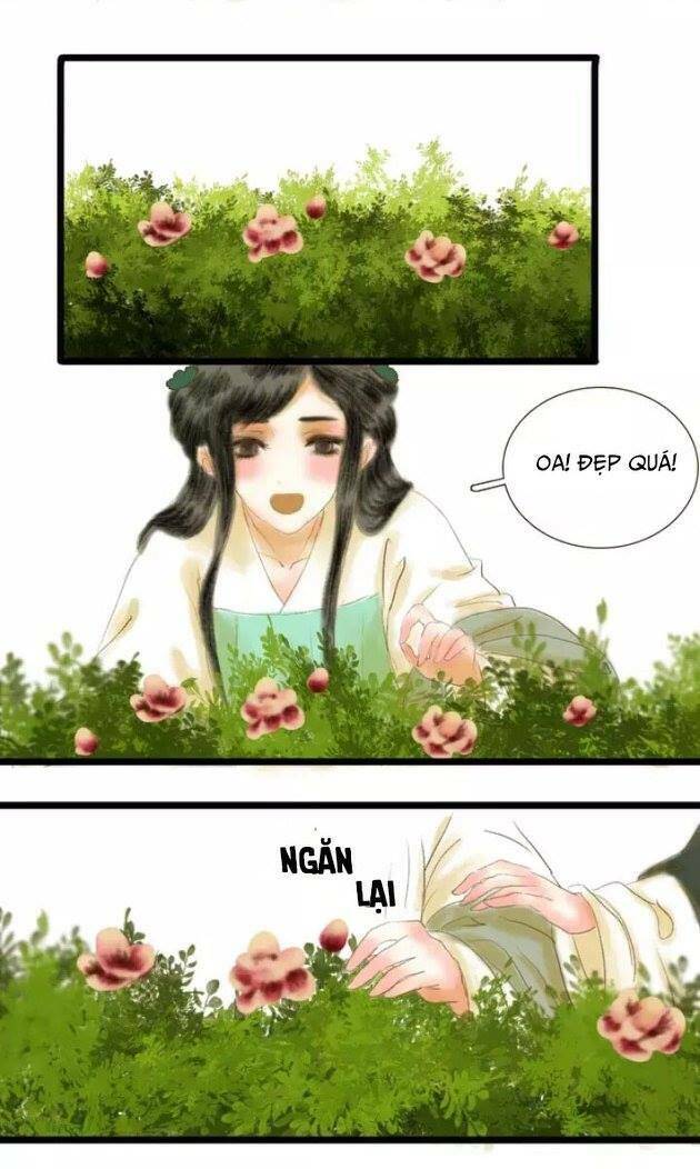 Phồn Hoa Phai Màu Chapter 1 - 17