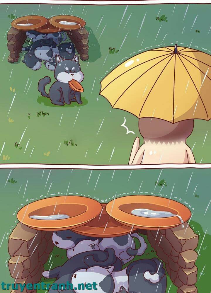 Cây Nấm Kì Khả Chapter 10 - 11