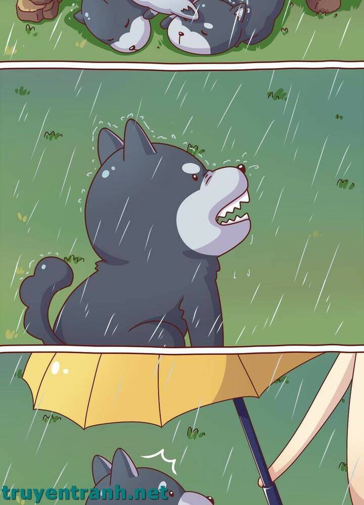 Cây Nấm Kì Khả Chapter 10 - 12