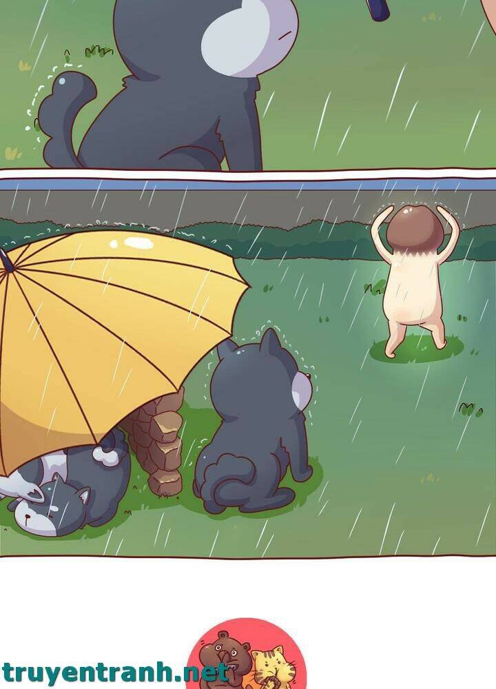 Cây Nấm Kì Khả Chapter 10 - 13