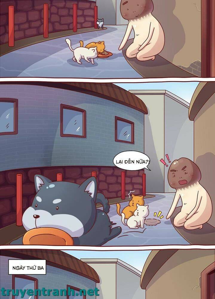 Cây Nấm Kì Khả Chapter 10 - 4