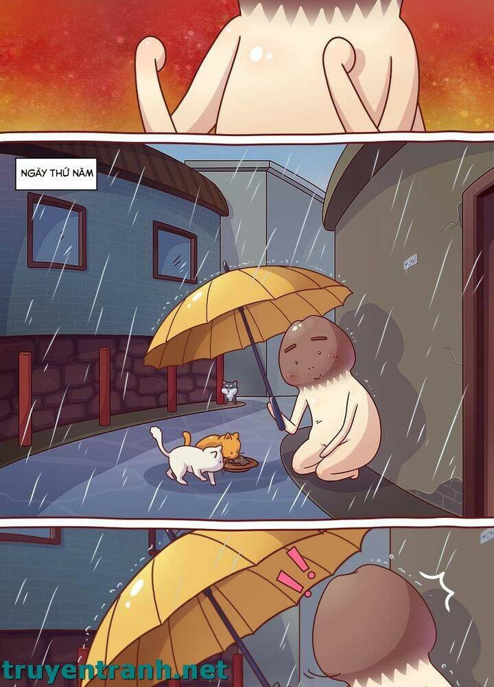 Cây Nấm Kì Khả Chapter 10 - 8