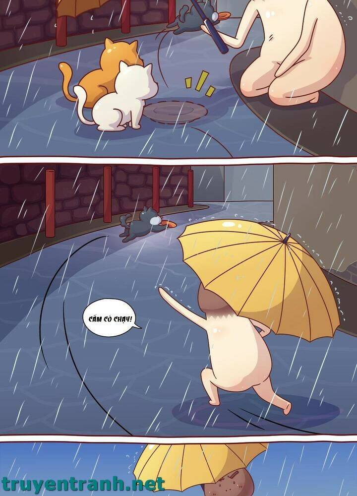 Cây Nấm Kì Khả Chapter 10 - 9