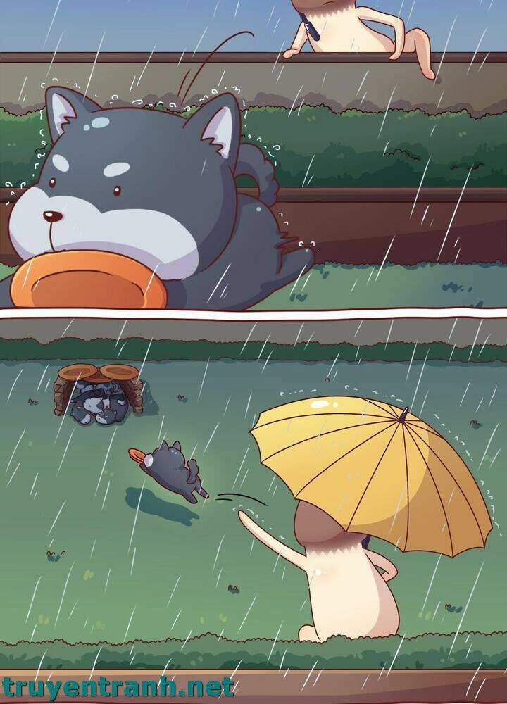 Cây Nấm Kì Khả Chapter 10 - 10