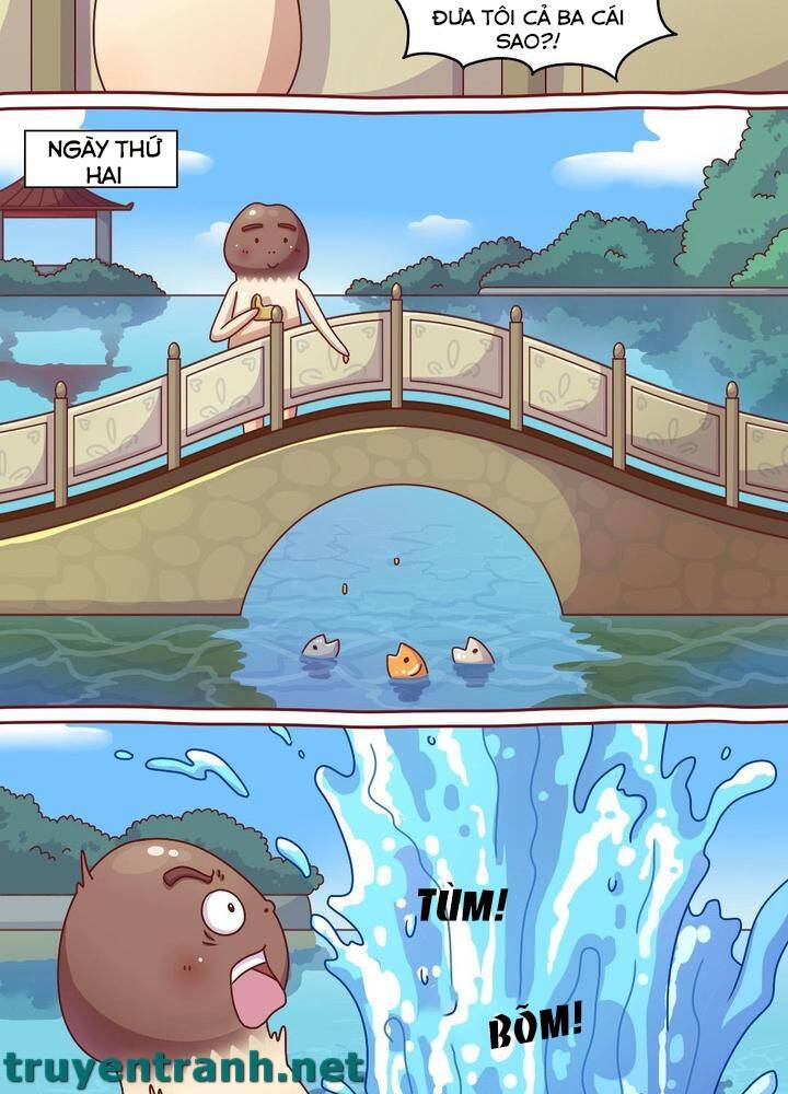 Cây Nấm Kì Khả Chapter 11 - 6