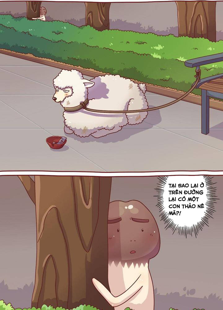 Cây Nấm Kì Khả Chapter 20 - 2