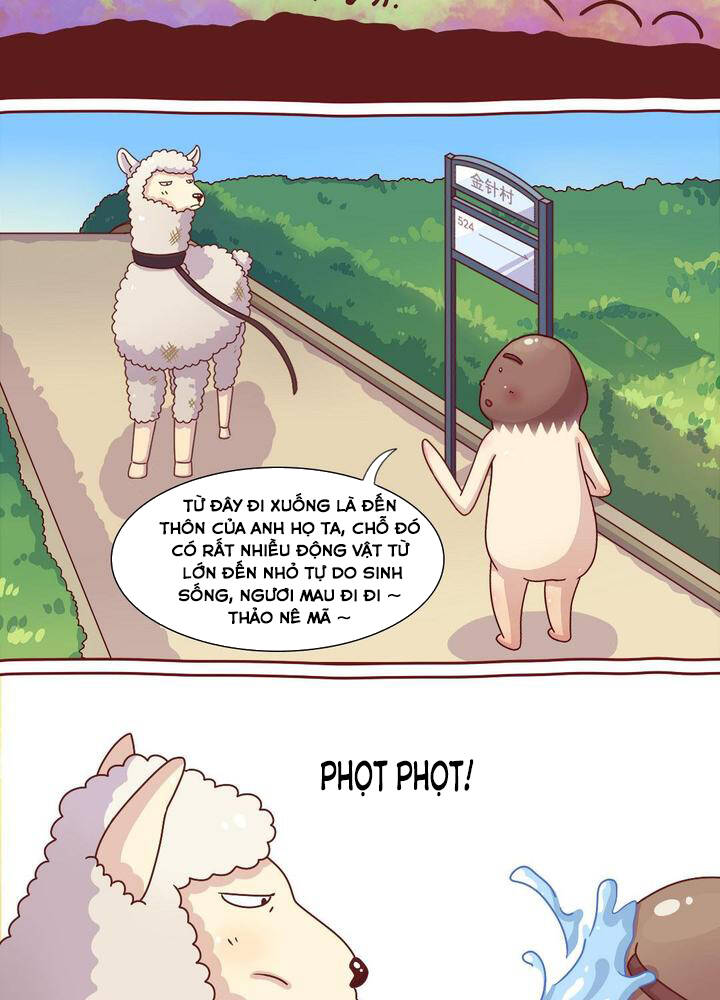 Cây Nấm Kì Khả Chapter 20 - 12
