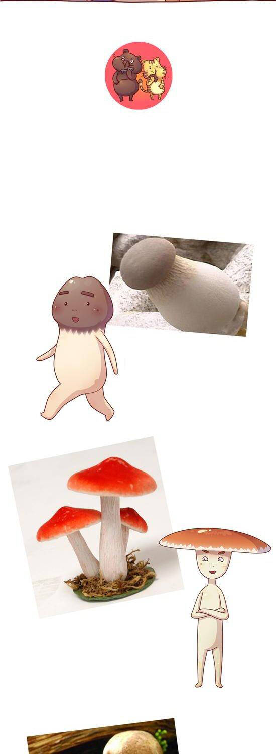 Cây Nấm Kì Khả Chapter 22 - 8