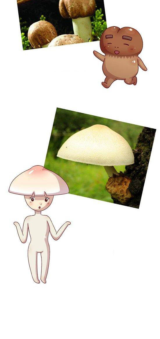 Cây Nấm Kì Khả Chapter 22 - 9