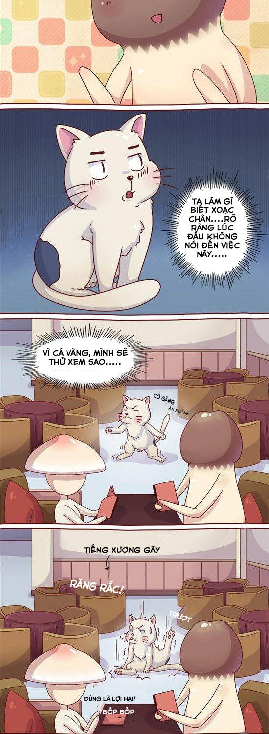 Cây Nấm Kì Khả Chapter 25 - 5