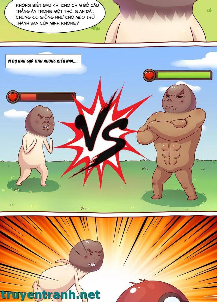 Cây Nấm Kì Khả Chapter 3 - 4