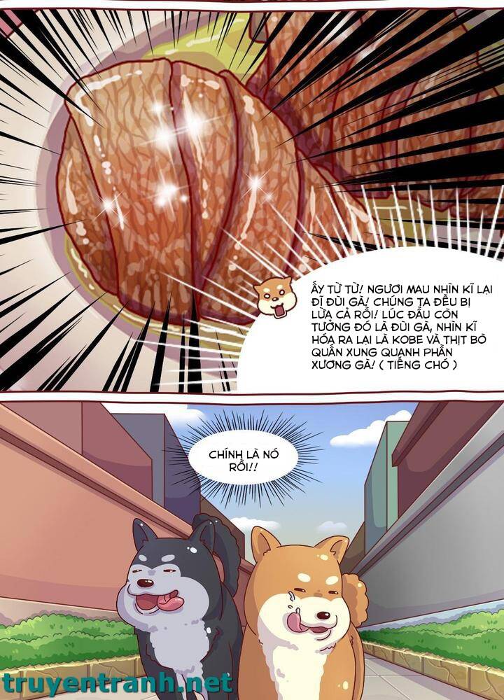 Cây Nấm Kì Khả Chapter 6 - 12