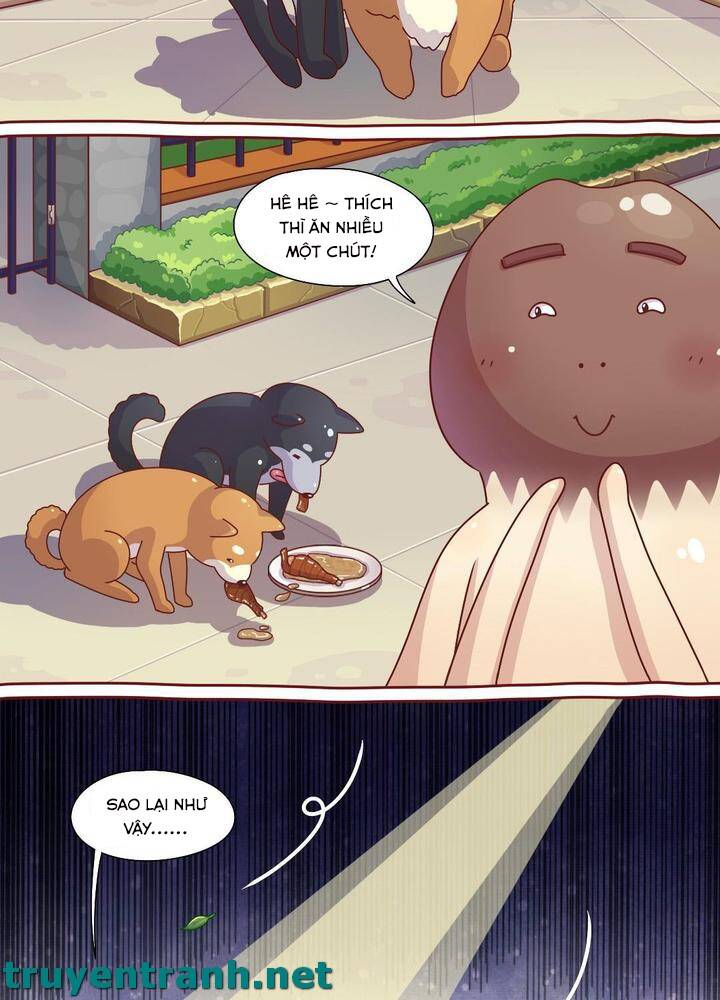 Cây Nấm Kì Khả Chapter 6 - 13