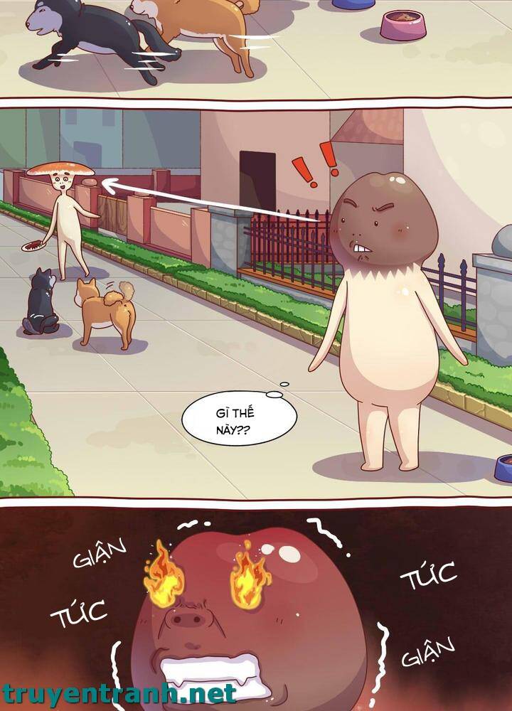 Cây Nấm Kì Khả Chapter 6 - 4