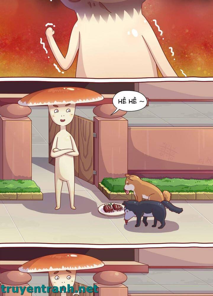 Cây Nấm Kì Khả Chapter 6 - 5