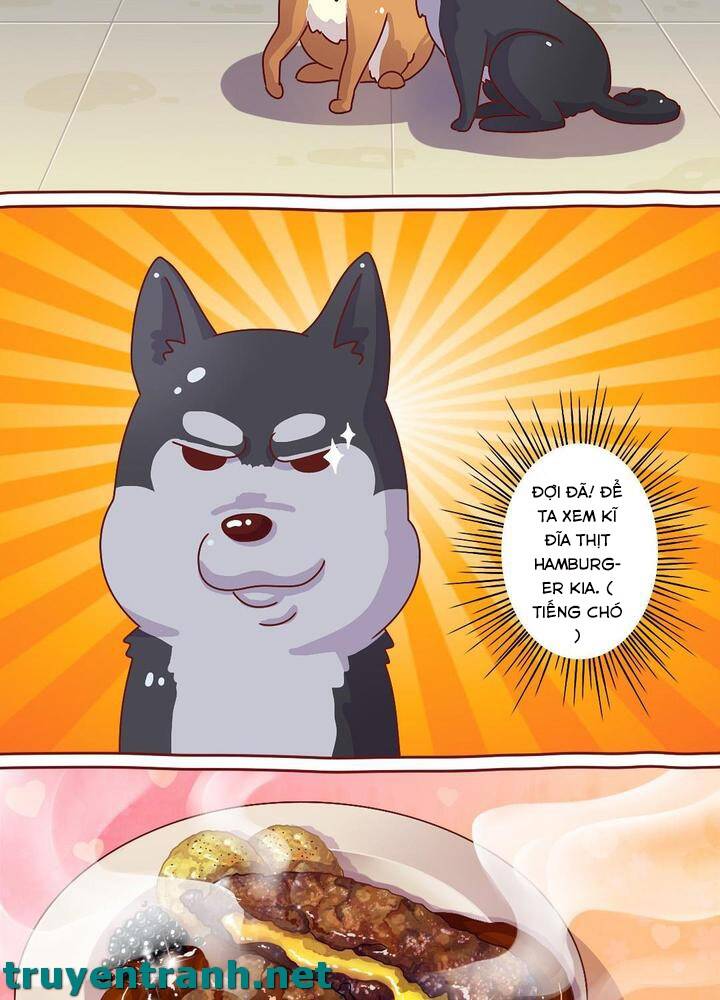 Cây Nấm Kì Khả Chapter 6 - 9