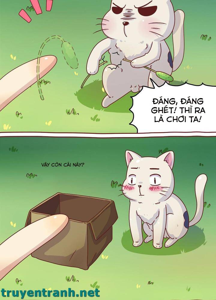 Cây Nấm Kì Khả Chapter 7 - 11