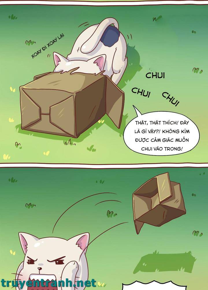 Cây Nấm Kì Khả Chapter 7 - 12