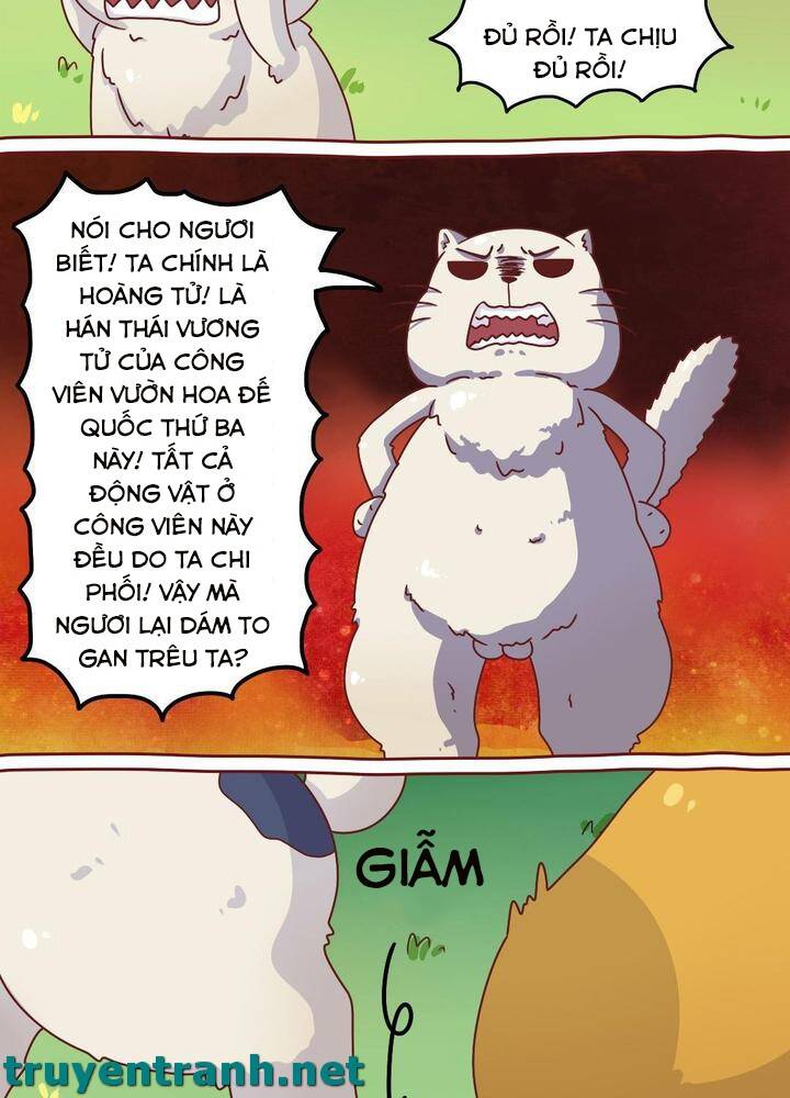 Cây Nấm Kì Khả Chapter 7 - 13