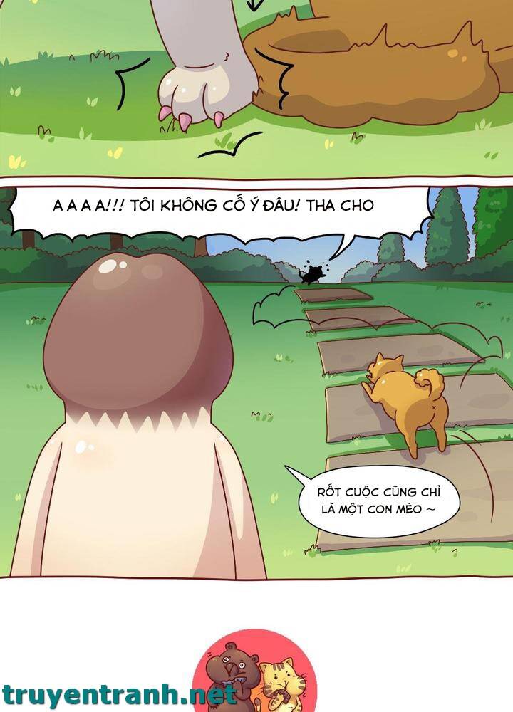 Cây Nấm Kì Khả Chapter 7 - 14