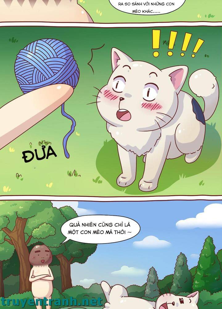 Cây Nấm Kì Khả Chapter 7 - 8