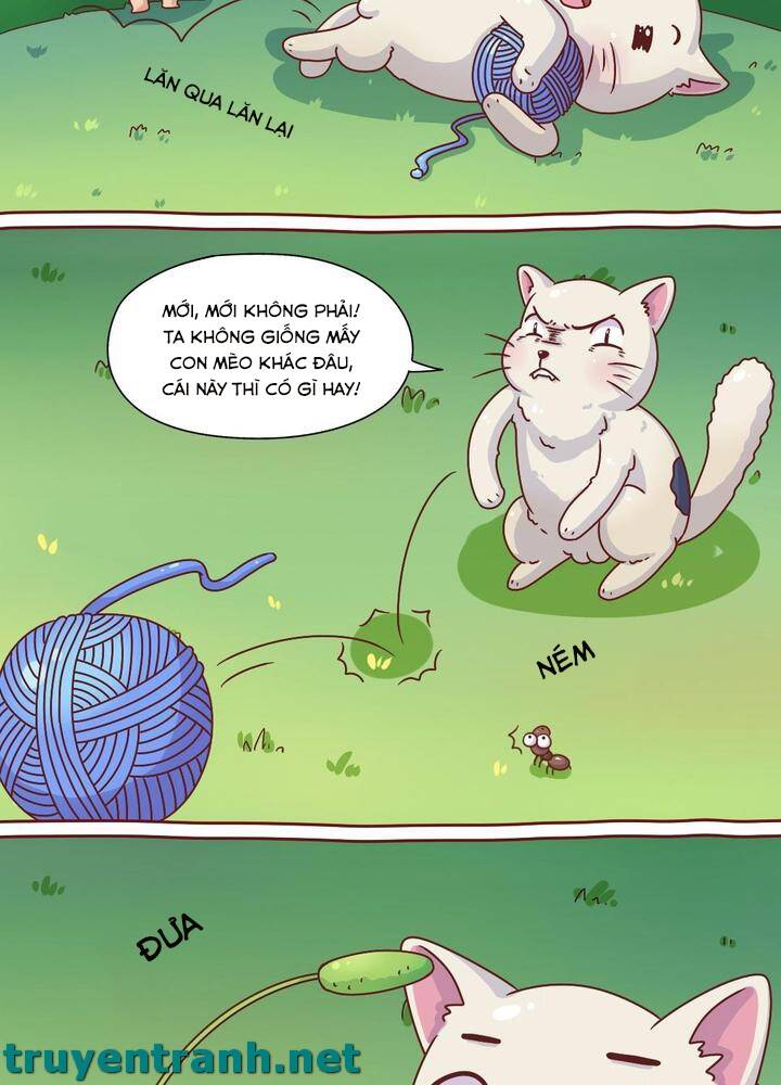 Cây Nấm Kì Khả Chapter 7 - 9