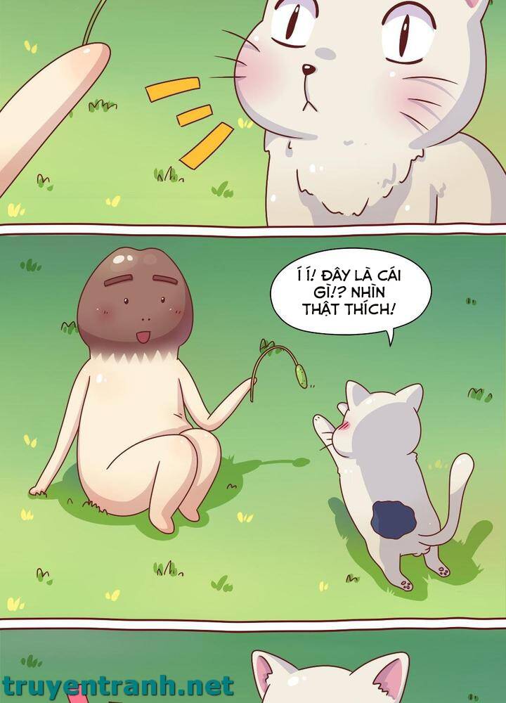 Cây Nấm Kì Khả Chapter 7 - 10