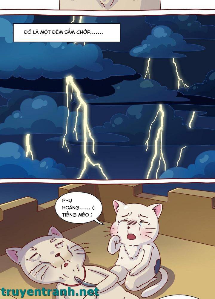 Cây Nấm Kì Khả Chapter 8 - 3