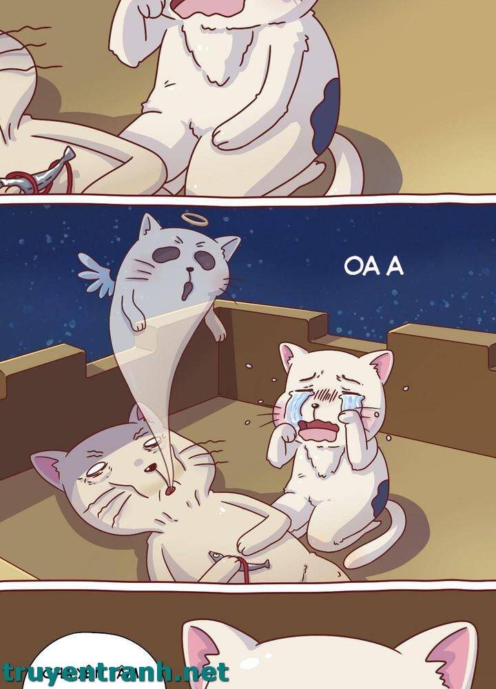 Cây Nấm Kì Khả Chapter 8 - 5