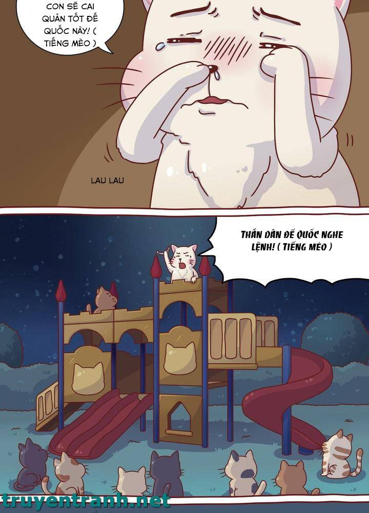 Cây Nấm Kì Khả Chapter 8 - 6