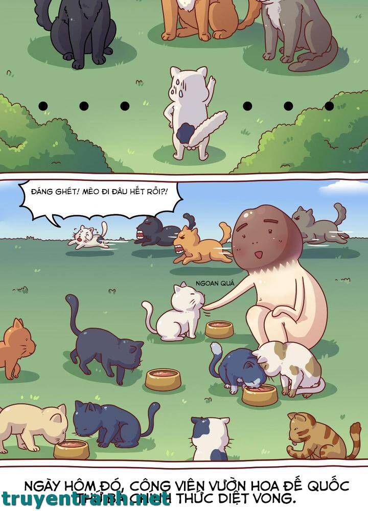 Cây Nấm Kì Khả Chapter 8 - 10