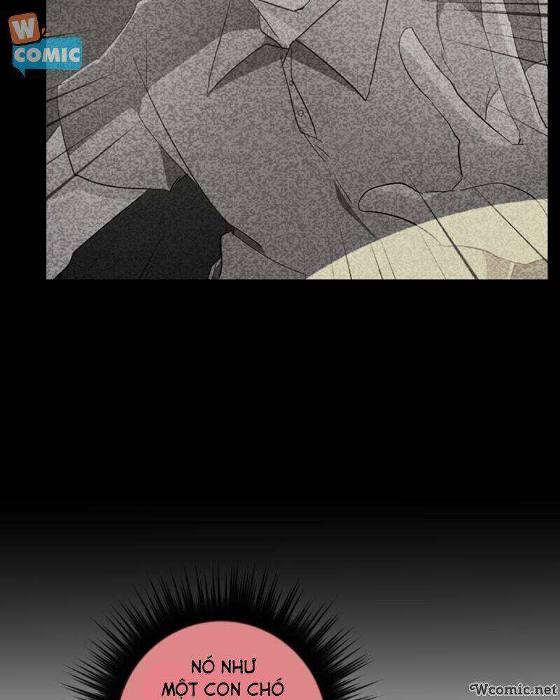 Thế Giới Không Hoàn Hảo Chapter 211 - 11