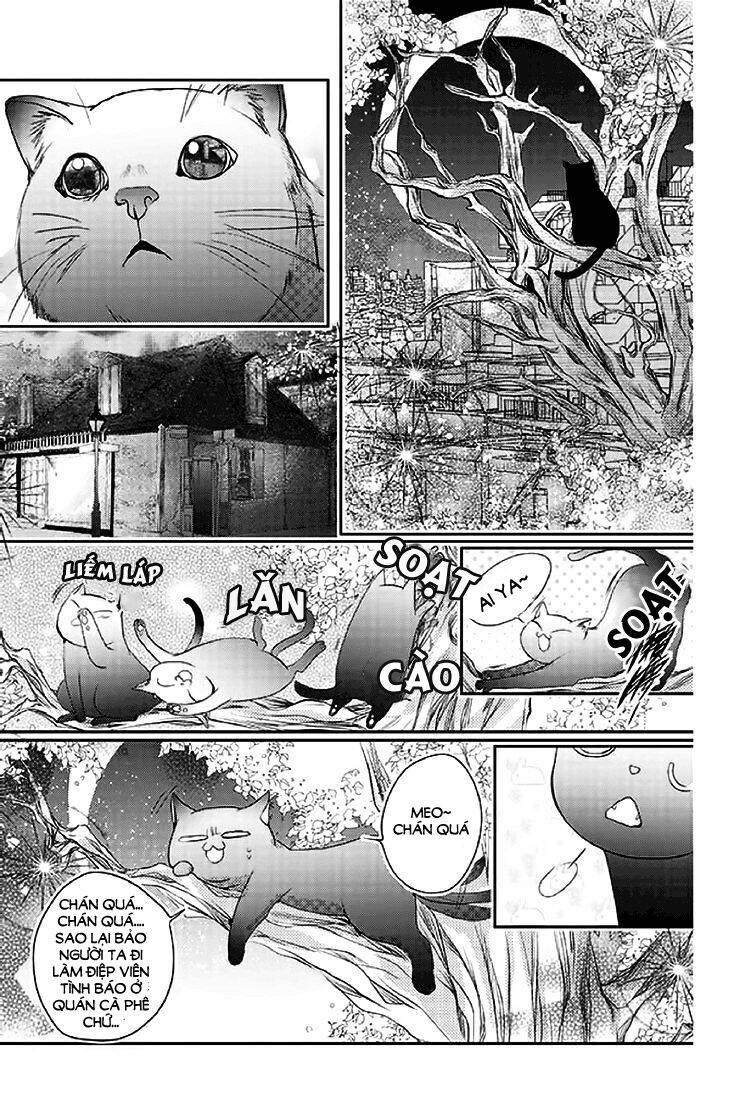 Scarlet Cross Chapter 14 - 21