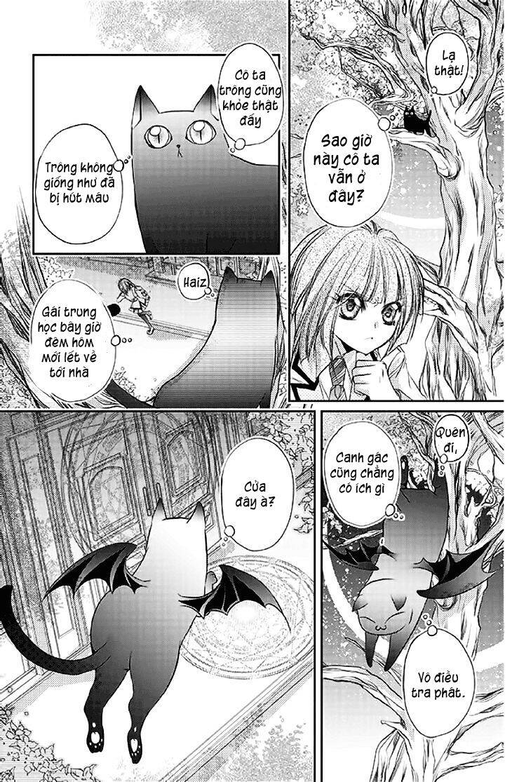 Scarlet Cross Chapter 14 - 25