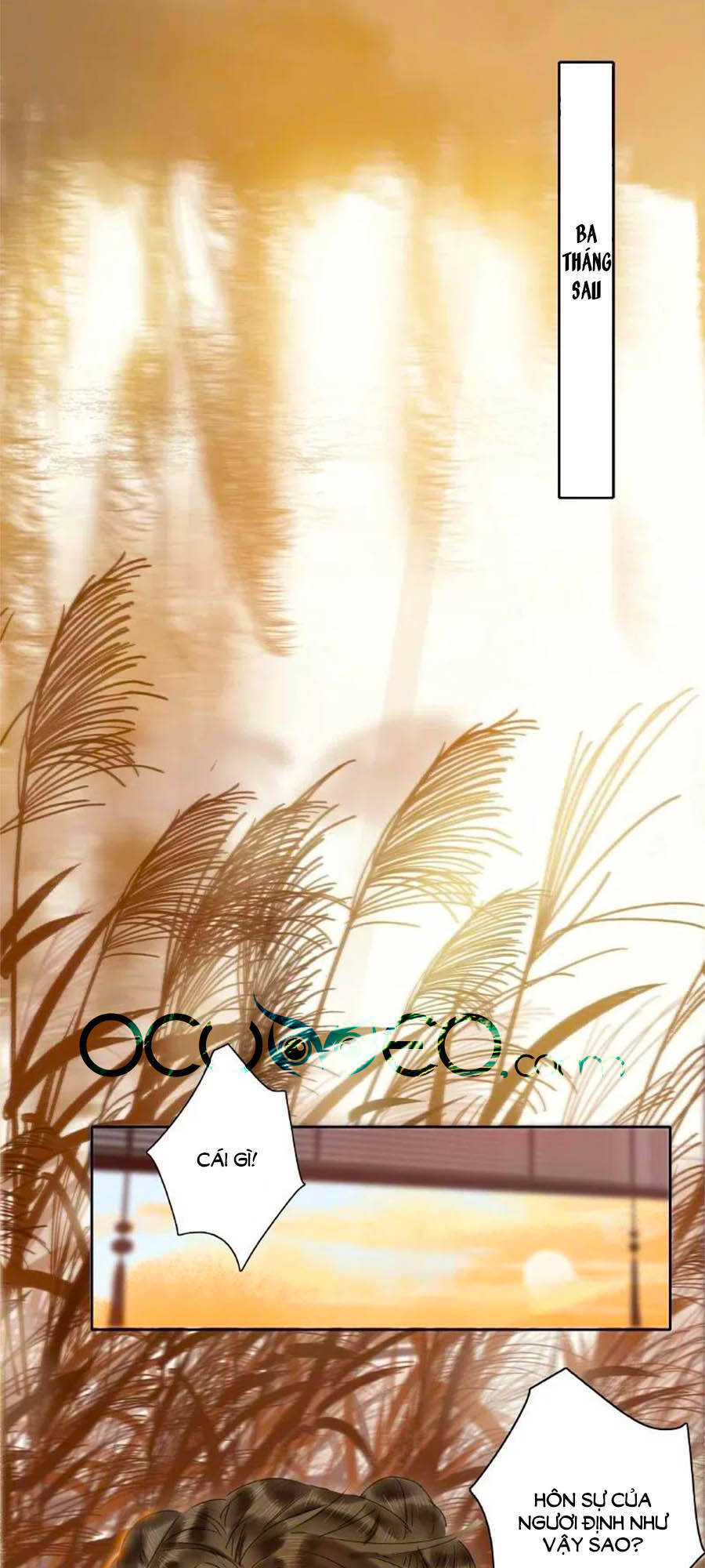 Ta Làm Lớn Ở Hậu Cung Chapter 146 - 2