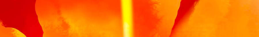 Ta Làm Lớn Ở Hậu Cung Chapter 150 - 12