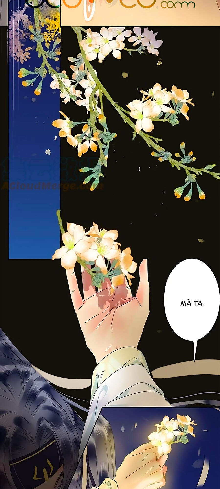 Ta Làm Lớn Ở Hậu Cung Chapter 168 - 13