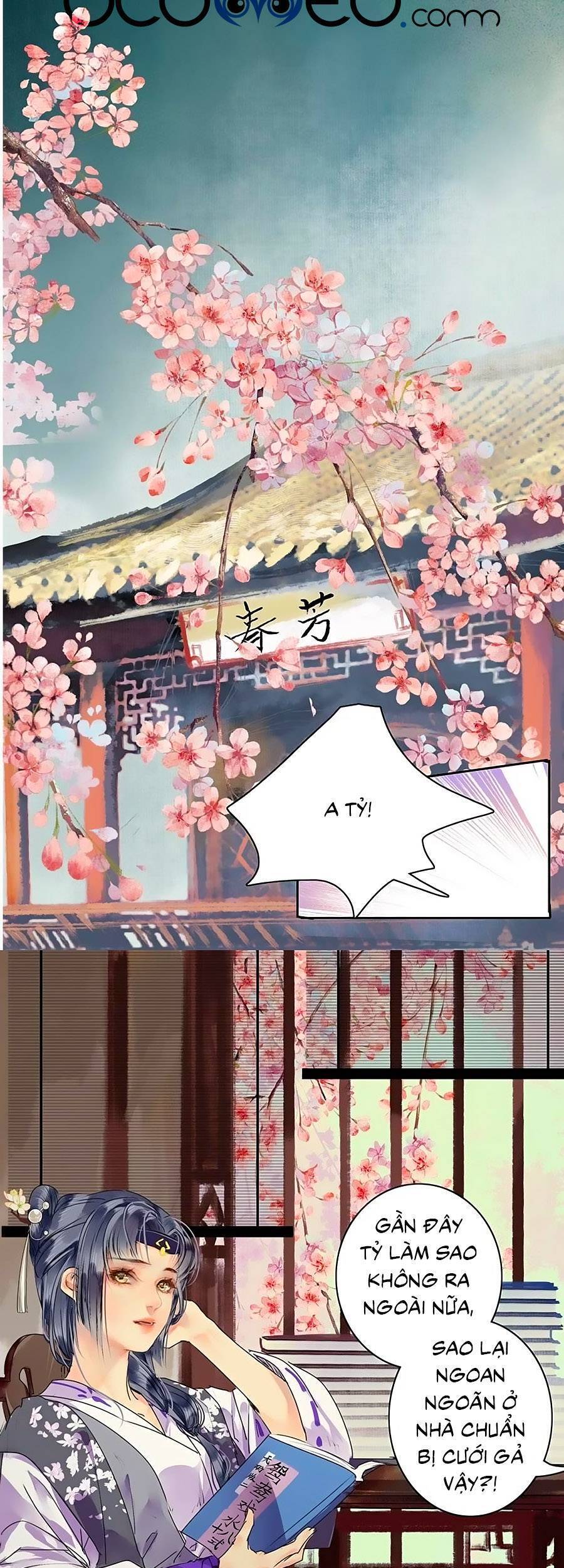 Ta Làm Lớn Ở Hậu Cung Chapter 178 - 11