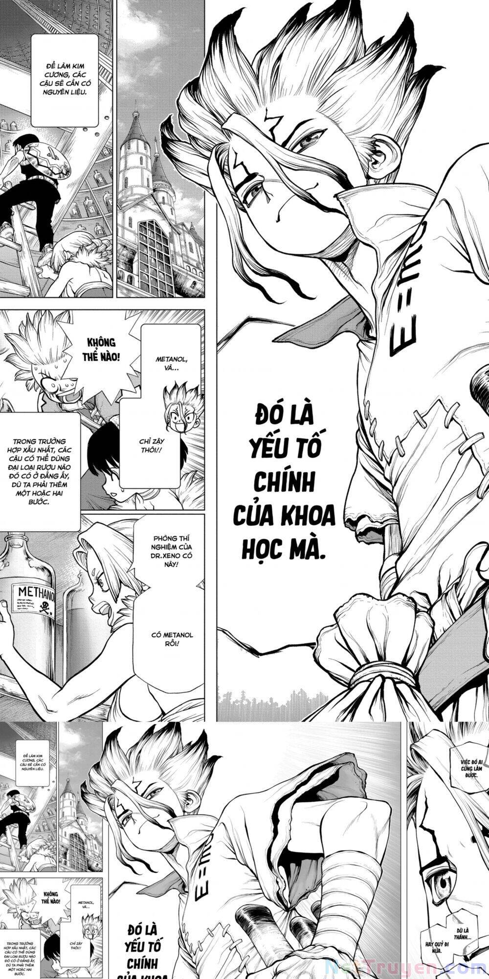 Dr.stone Chapter 182 - 11