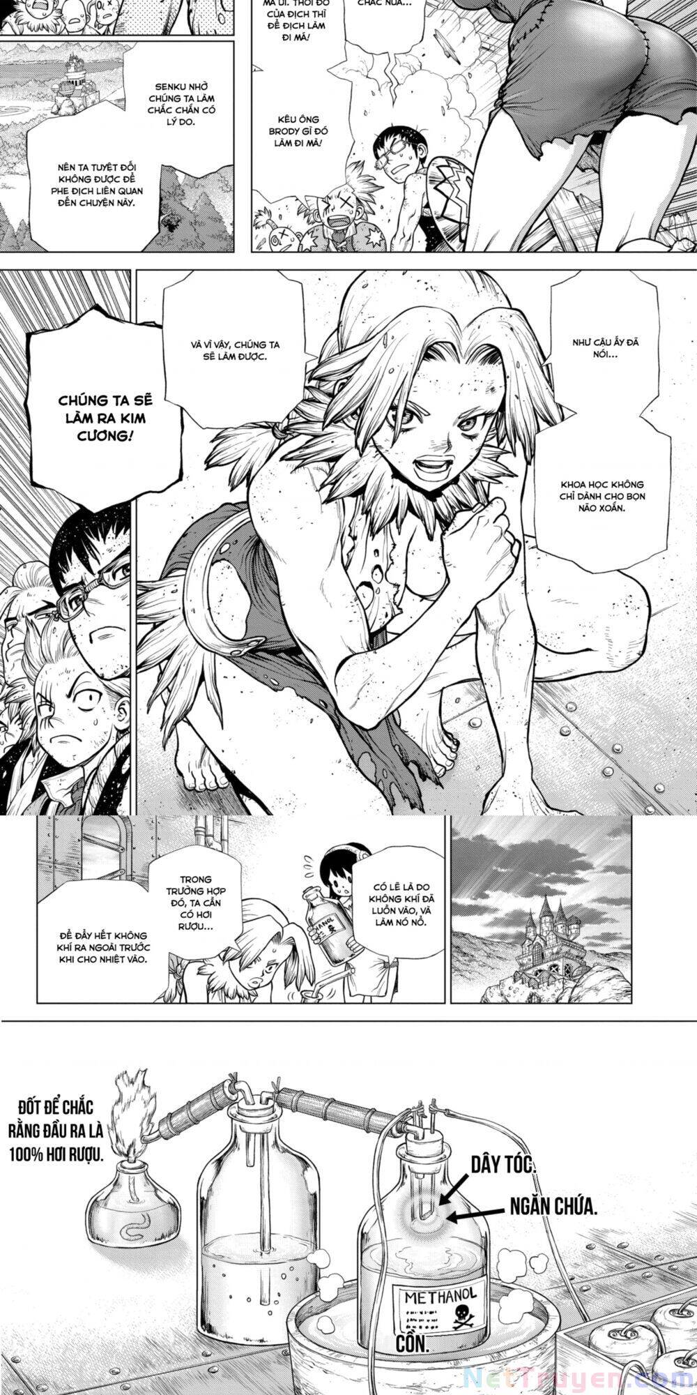 Dr.stone Chapter 182 - 13