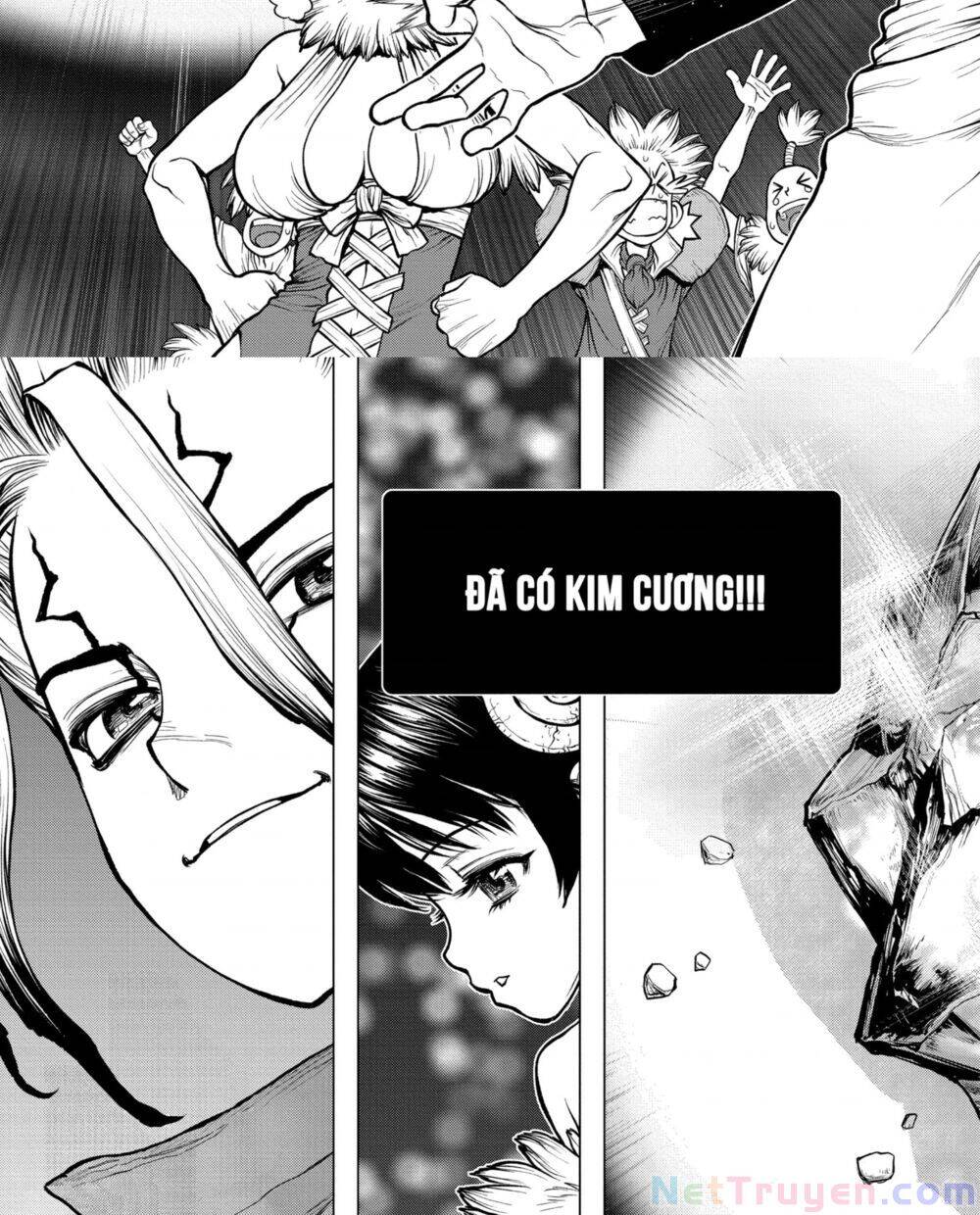 Dr.stone Chapter 182 - 16