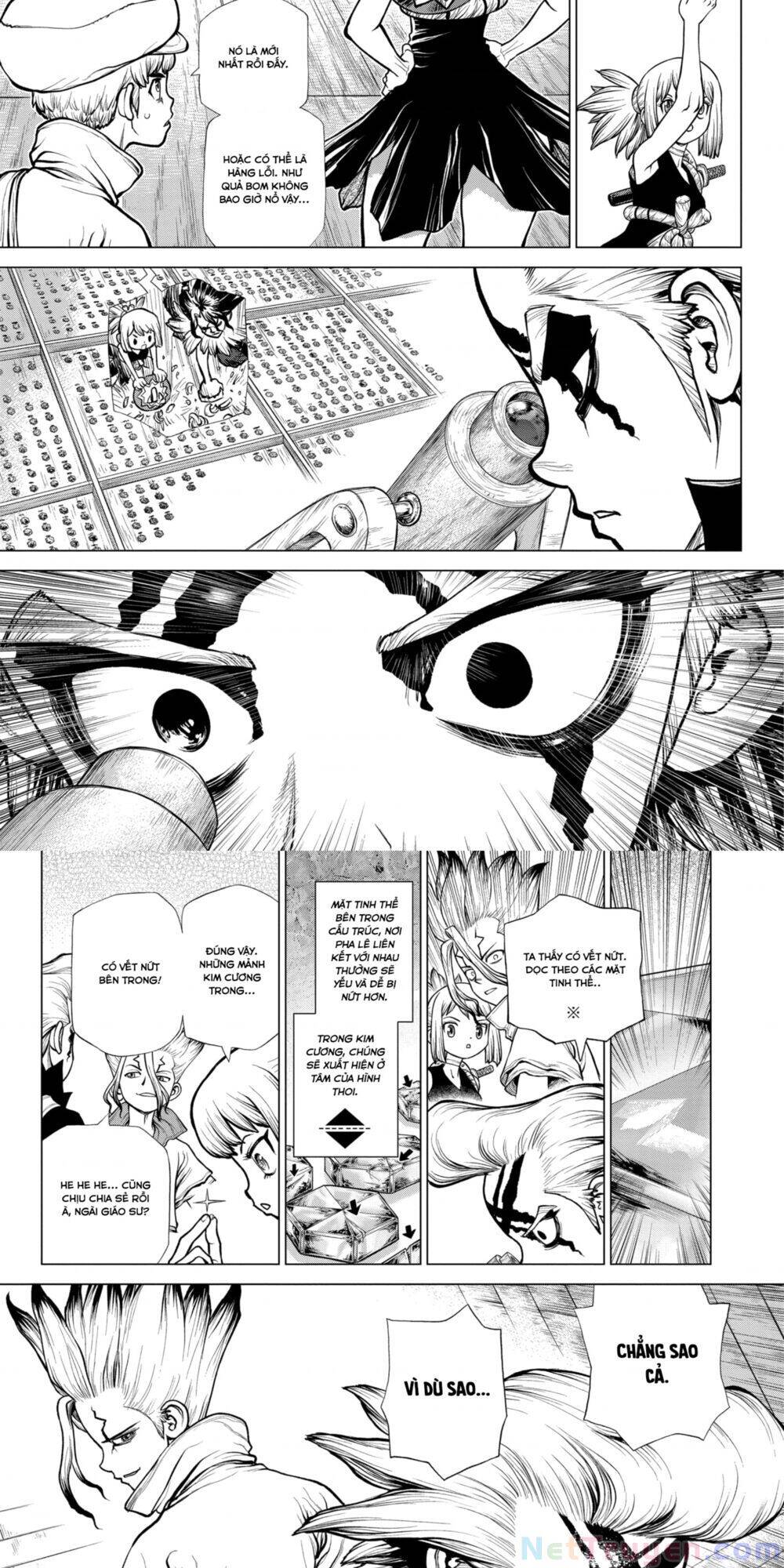 Dr.stone Chapter 182 - 6
