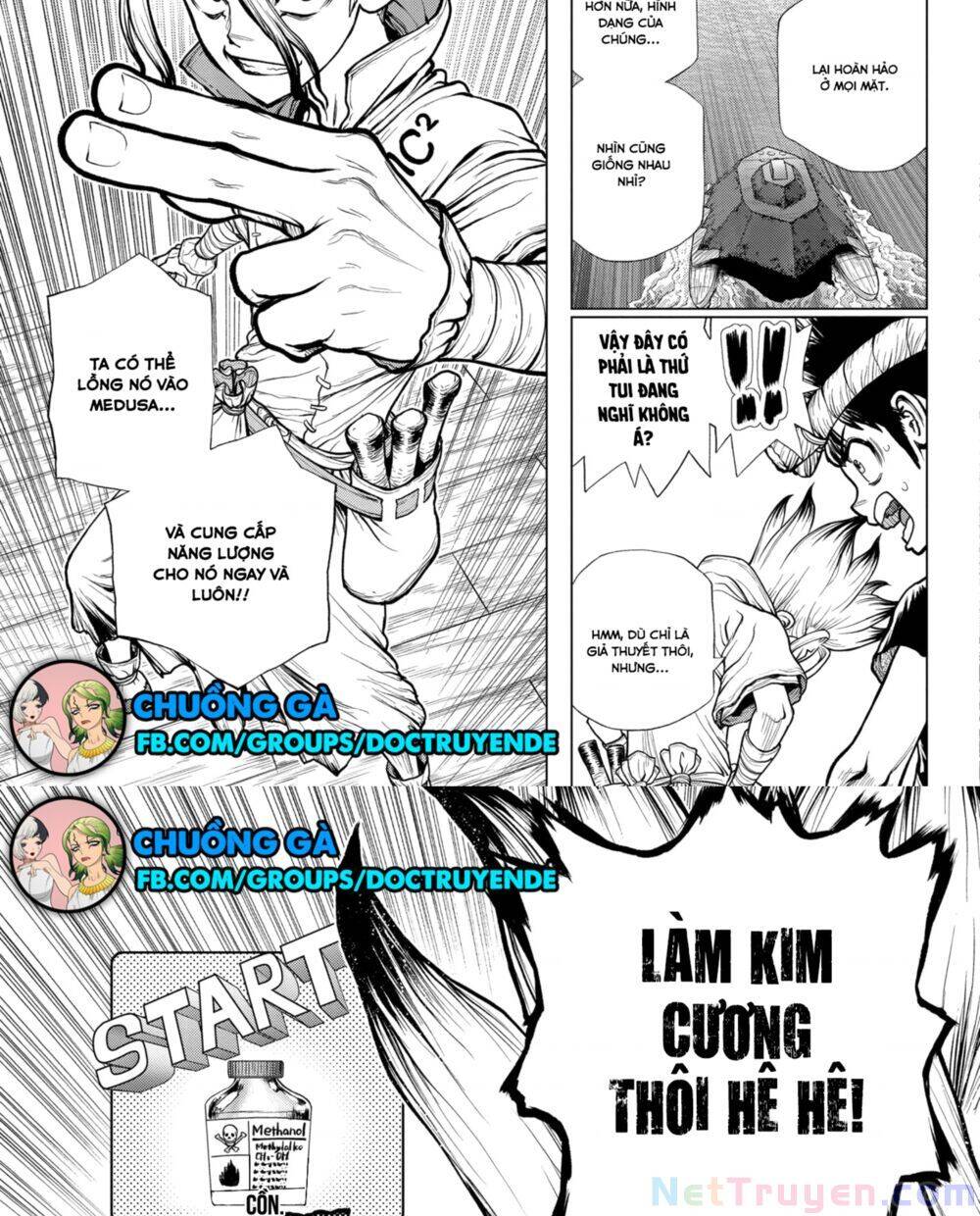 Dr.stone Chapter 182 - 8