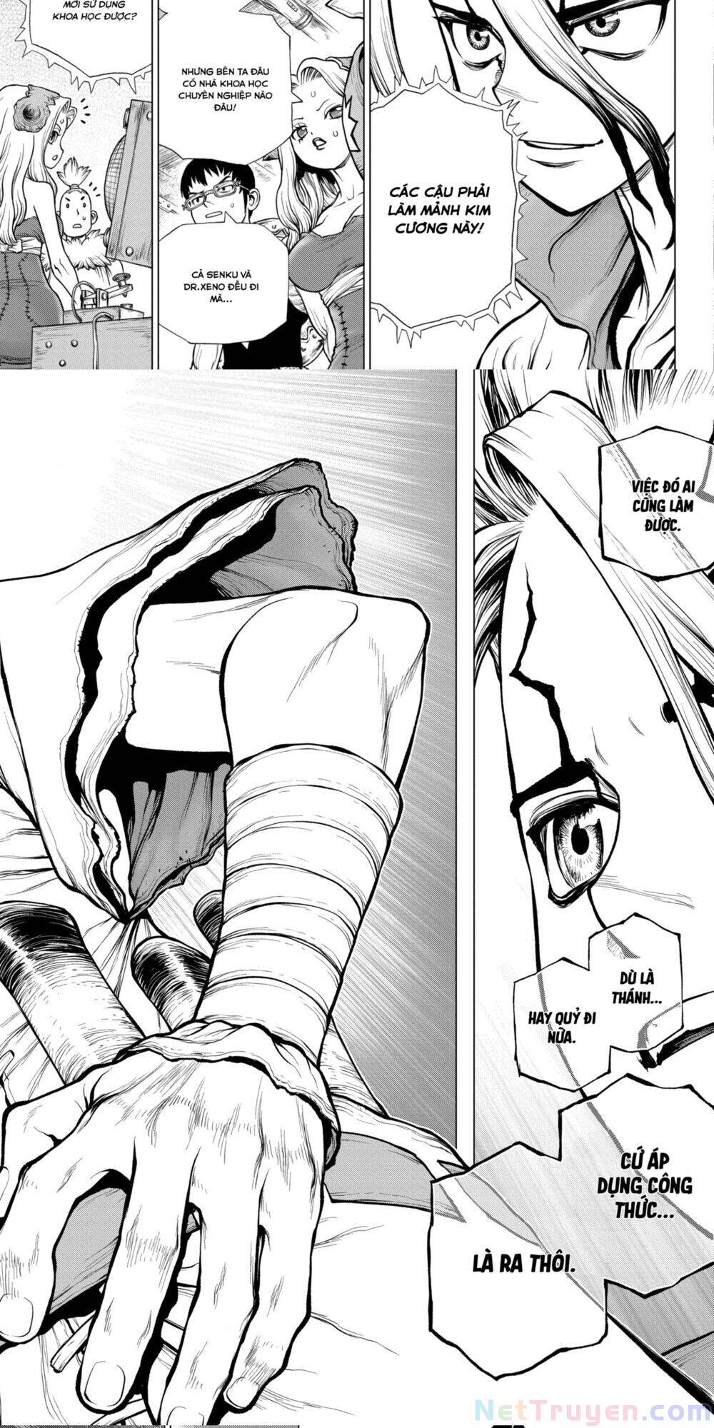 Dr.stone Chapter 182 - 10