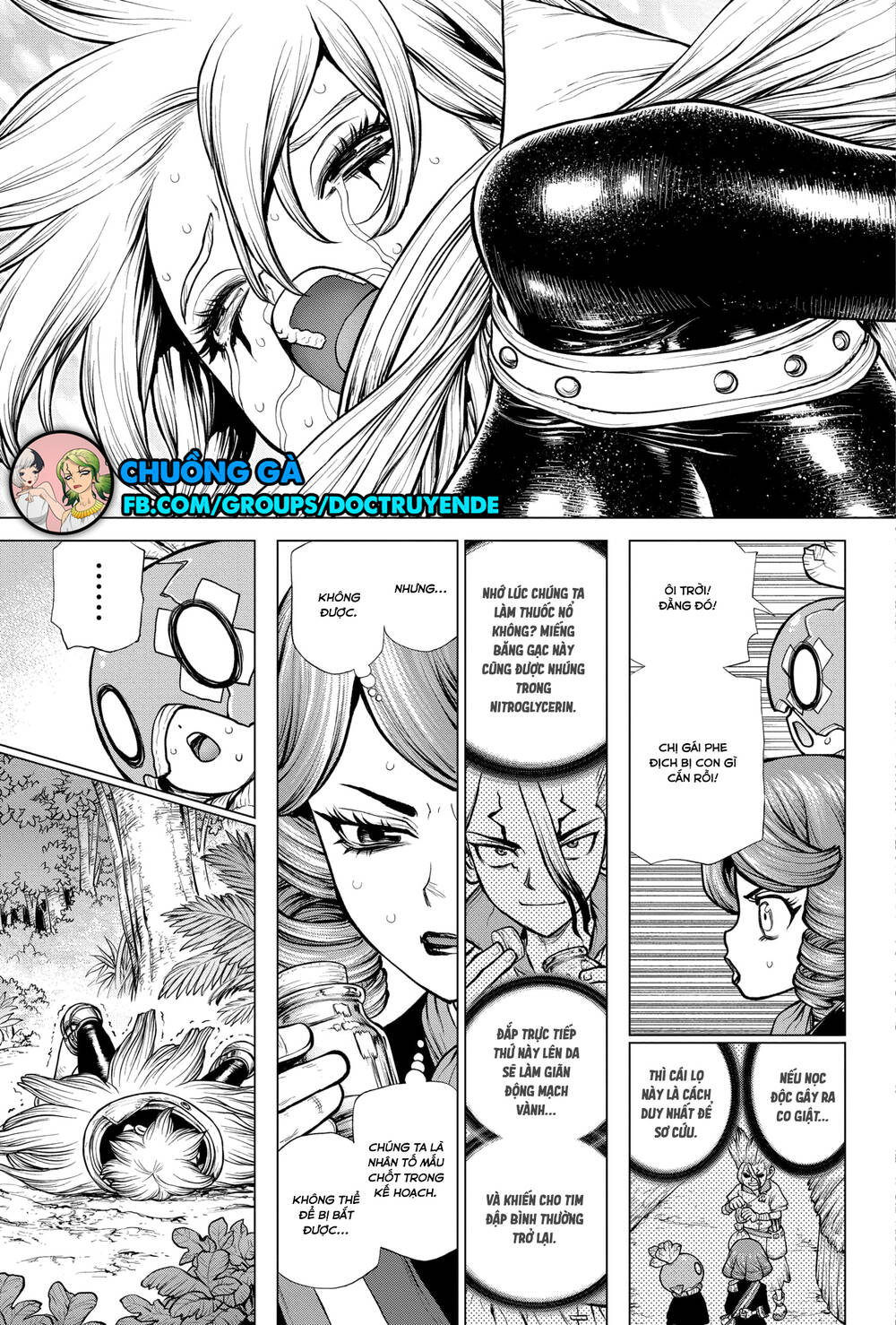 Dr.stone Chapter 185 - 17