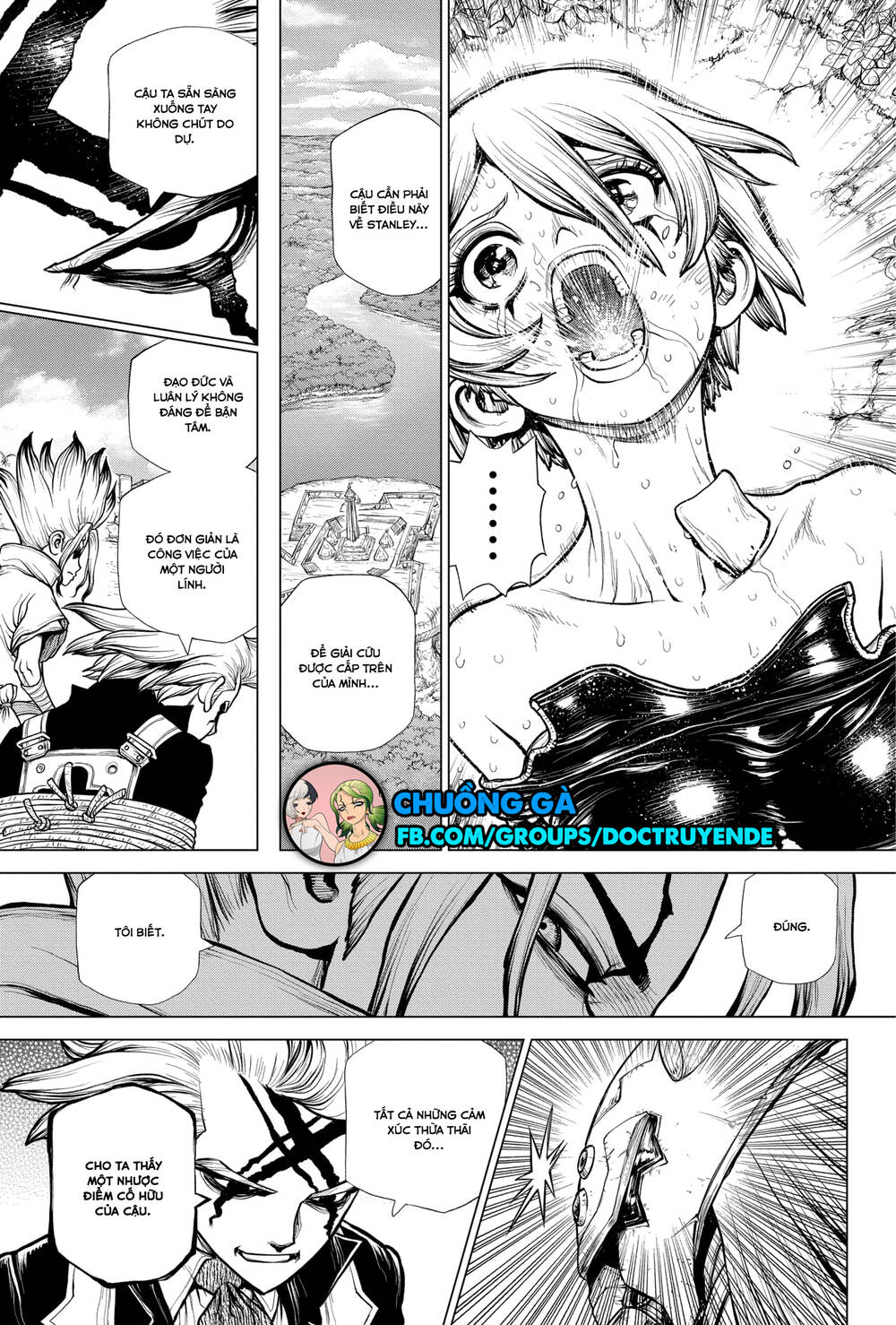 Dr.stone Chapter 185 - 20