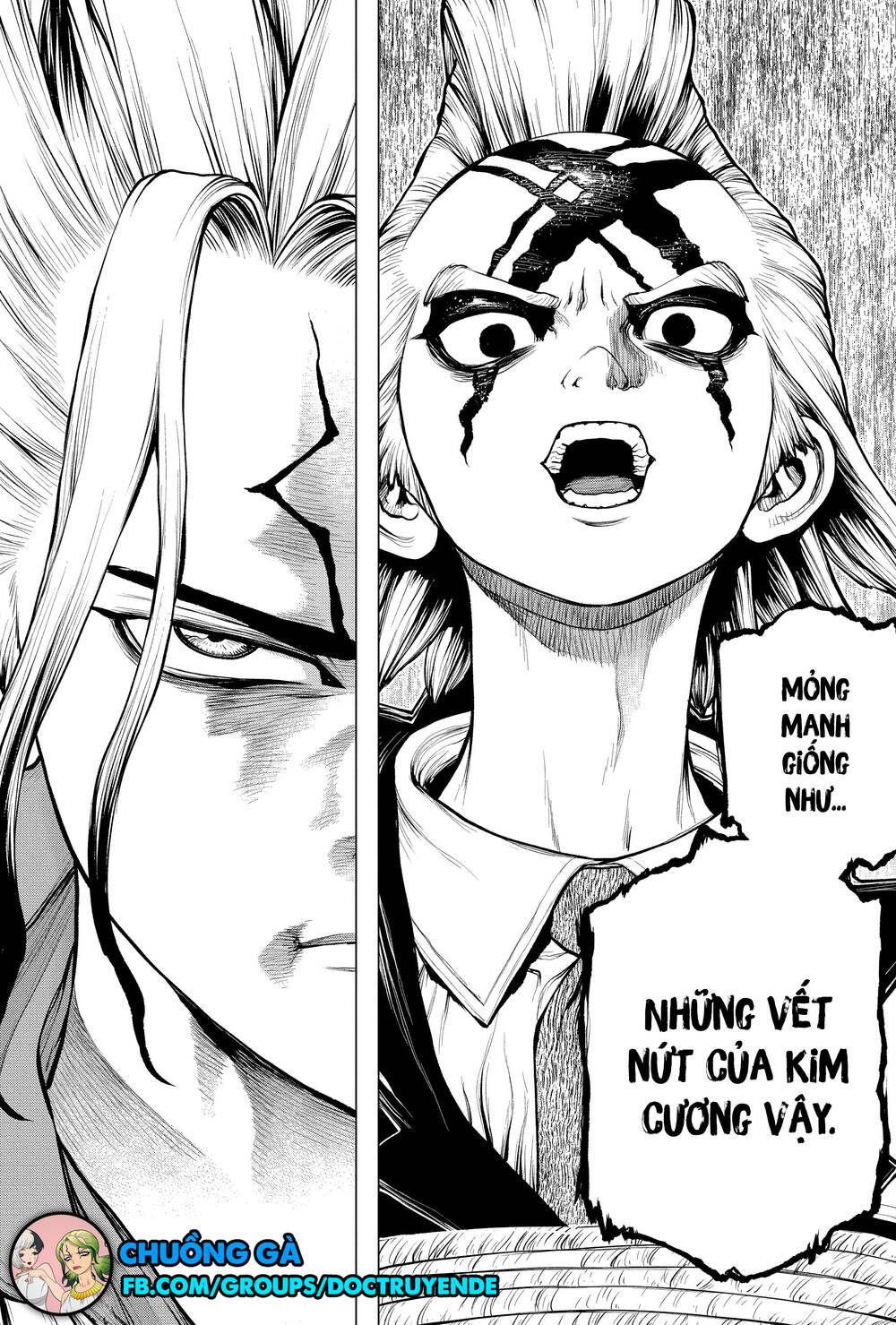 Dr.stone Chapter 185 - 21