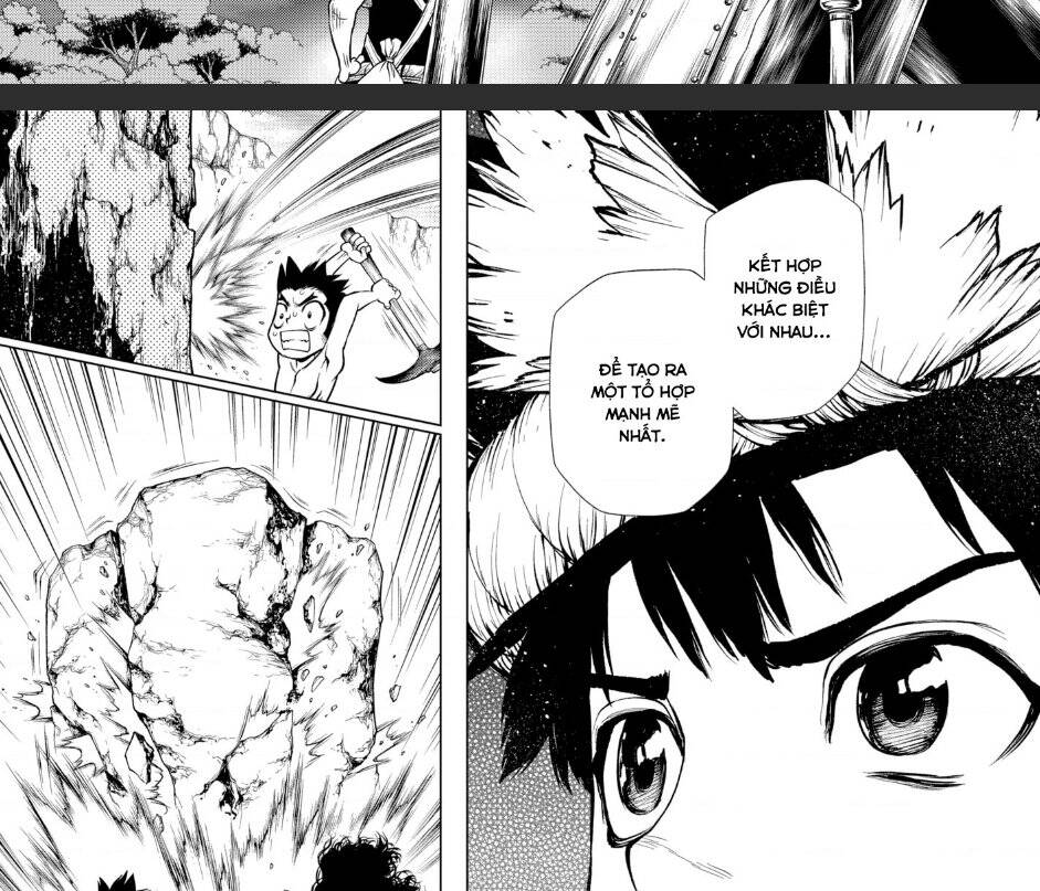 Dr.stone Chapter 199 - 30