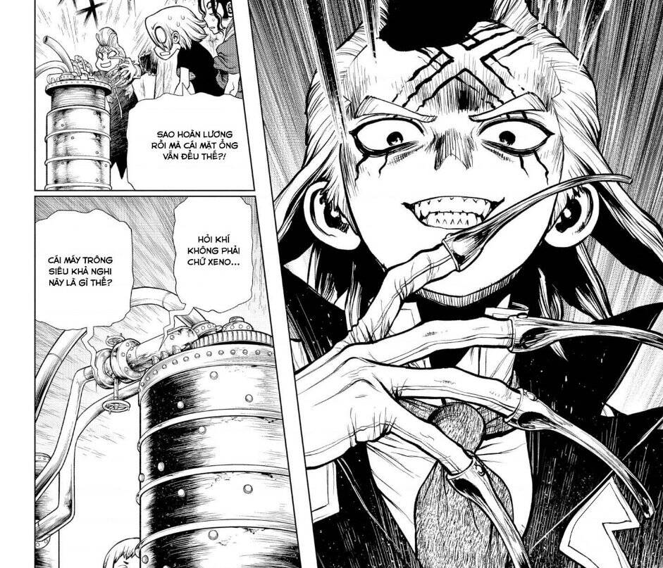 Dr.stone Chapter 199 - 4