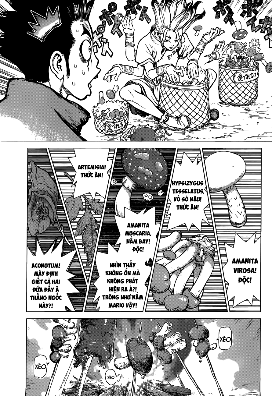 Dr.stone Chapter 2 - 5